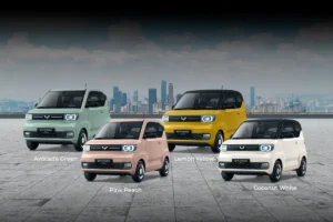 Wuling Macaron
