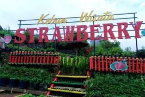 Agrowisata Malang: Menyelami Harmoni Alam, Inovasi, dan Kearifan Lokal di Bumi Arema