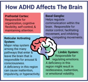 Memahami Dunia Anak dengan ADHD: Lebih dari Sekadar Hiperaktif