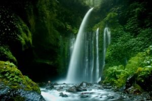 Menjelajahi Tirai Alam: Pesona Air Terjun yang Memukau dan Tips Eksplorasinya