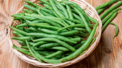 Buncis Sebagai Sayuran Sehat Penunjang Keseharian
