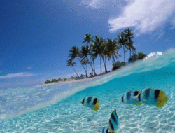 Eksotisme Bunaken, Permata Bahari di Utara Sulawesi